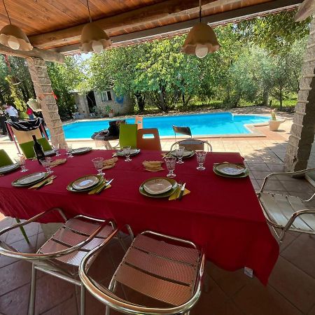 Big Relax Apartment With Swimming Pool And A Peaceful Garden In A Private Villa Сесту Екстер'єр фото