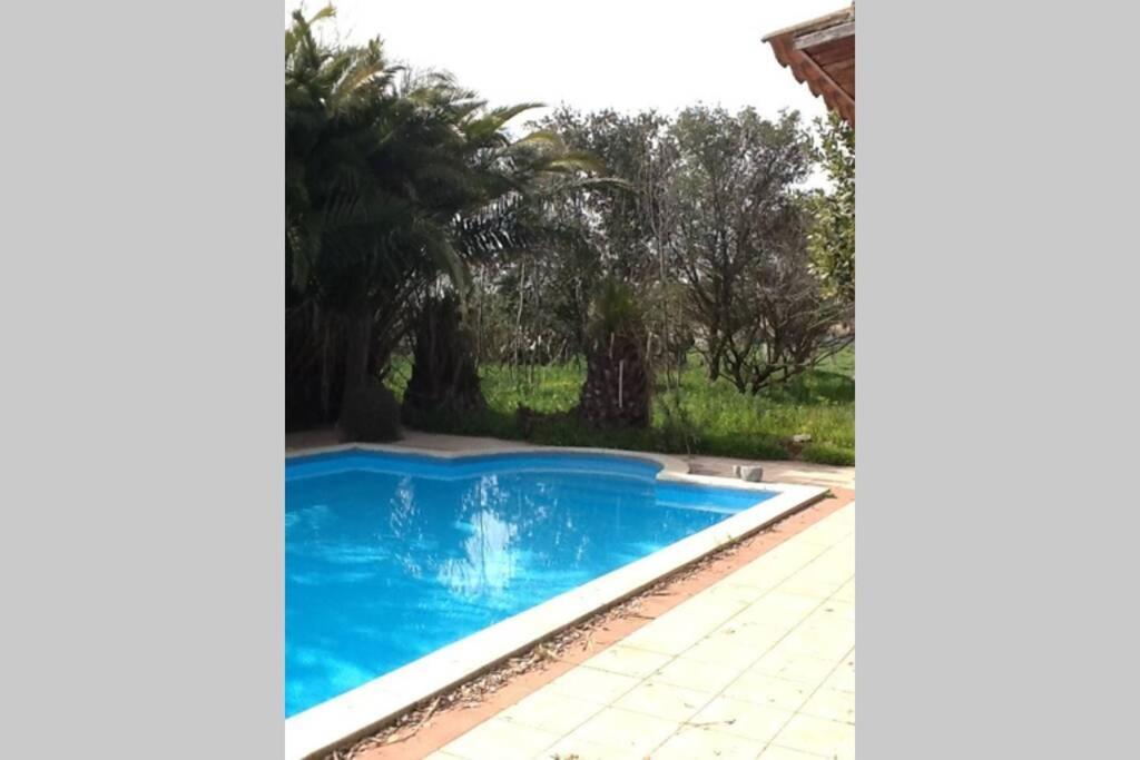 Big Relax Apartment With Swimming Pool And A Peaceful Garden In A Private Villa Сесту Екстер'єр фото