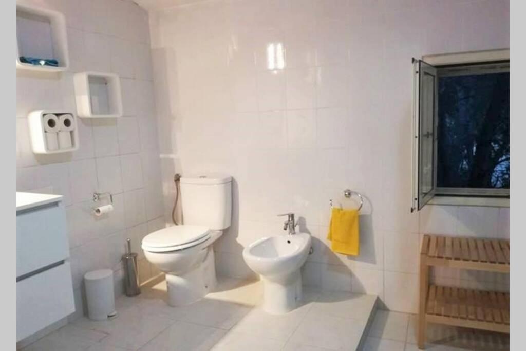 Big Relax Apartment With Swimming Pool And A Peaceful Garden In A Private Villa Сесту Екстер'єр фото
