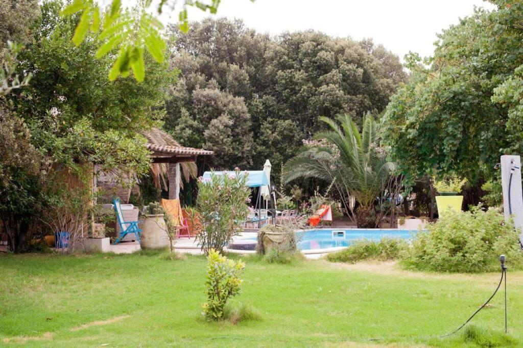 Big Relax Apartment With Swimming Pool And A Peaceful Garden In A Private Villa Сесту Екстер'єр фото