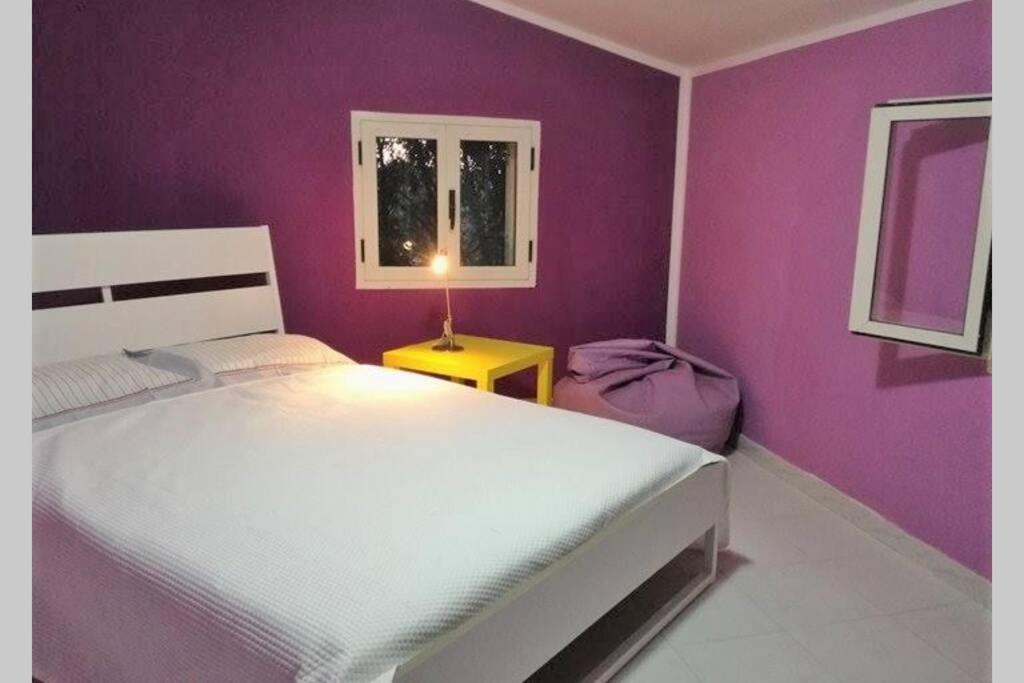 Big Relax Apartment With Swimming Pool And A Peaceful Garden In A Private Villa Сесту Екстер'єр фото