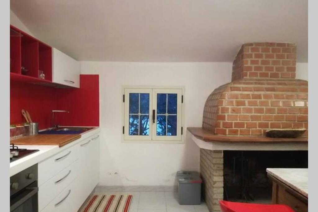 Big Relax Apartment With Swimming Pool And A Peaceful Garden In A Private Villa Сесту Екстер'єр фото