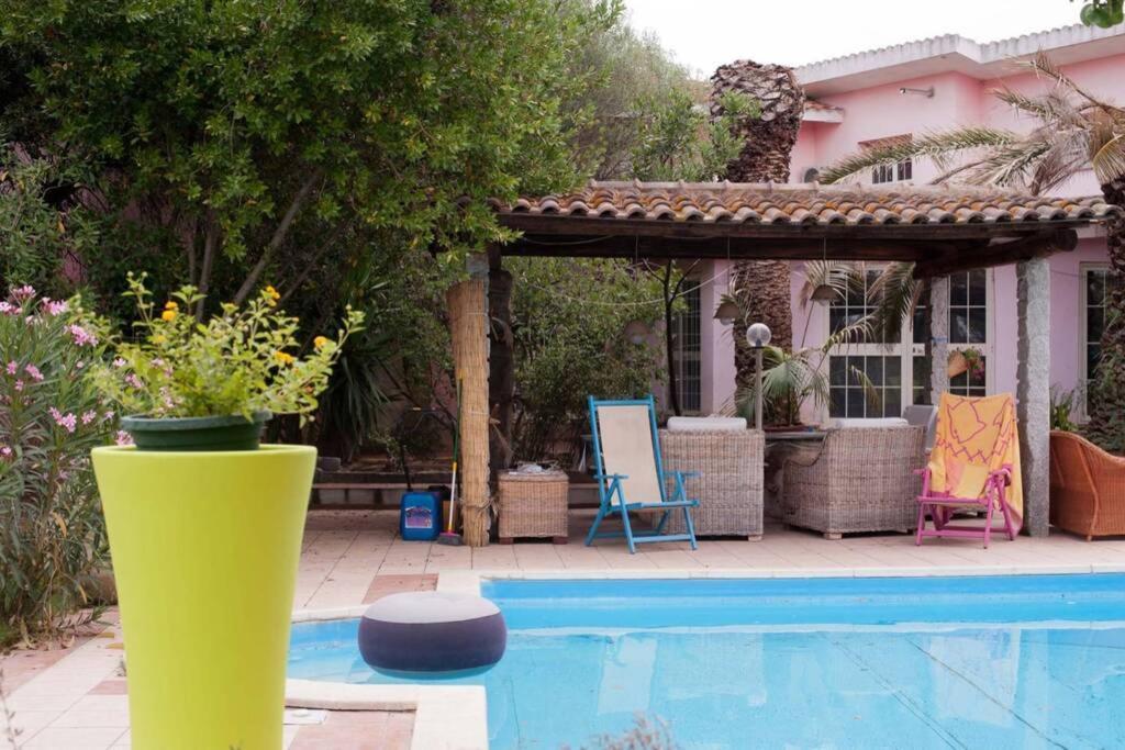Big Relax Apartment With Swimming Pool And A Peaceful Garden In A Private Villa Сесту Екстер'єр фото