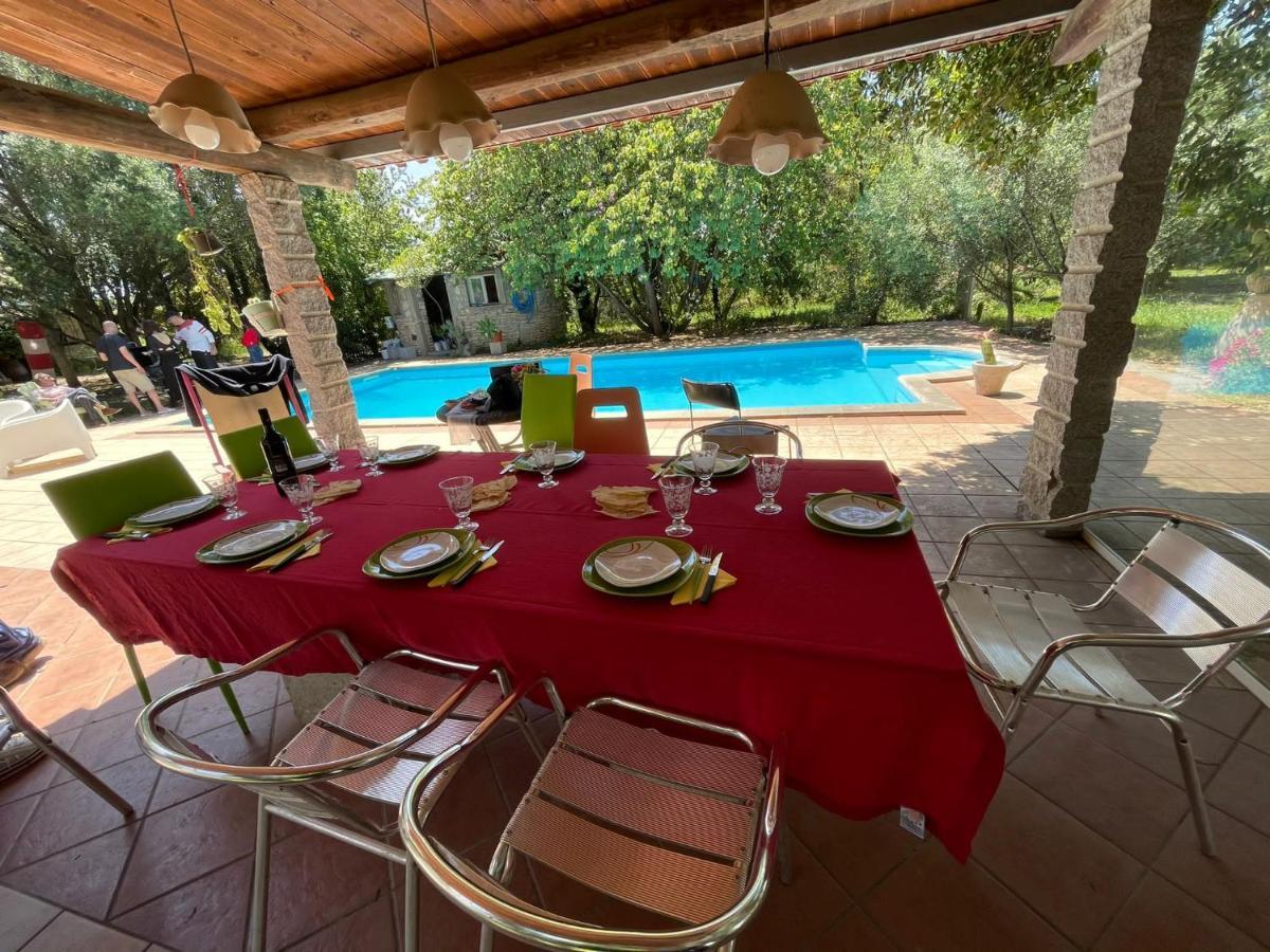 Big Relax Apartment With Swimming Pool And A Peaceful Garden In A Private Villa Сесту Екстер'єр фото