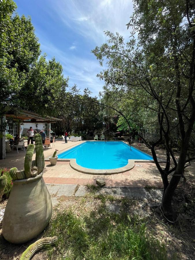 Big Relax Apartment With Swimming Pool And A Peaceful Garden In A Private Villa Сесту Екстер'єр фото