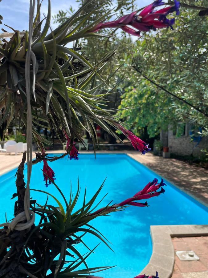 Big Relax Apartment With Swimming Pool And A Peaceful Garden In A Private Villa Сесту Екстер'єр фото